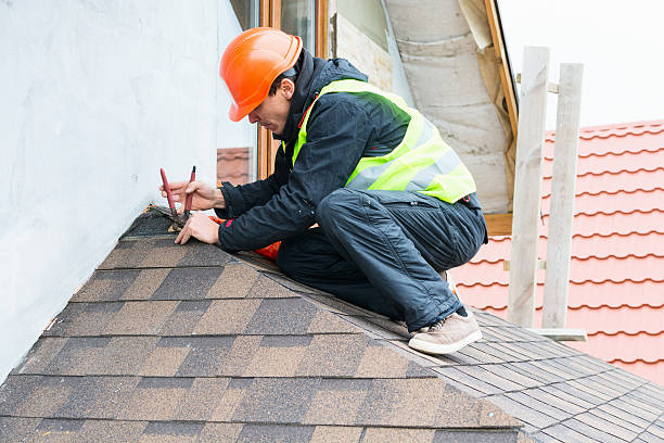 Best Roof Gutter Cleaning  in St Hedwig, TX